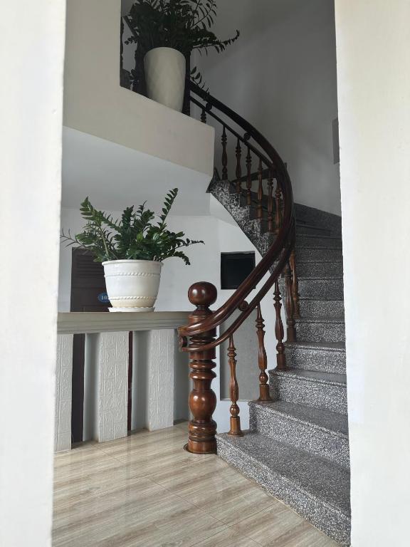 Kim Ngan hotel