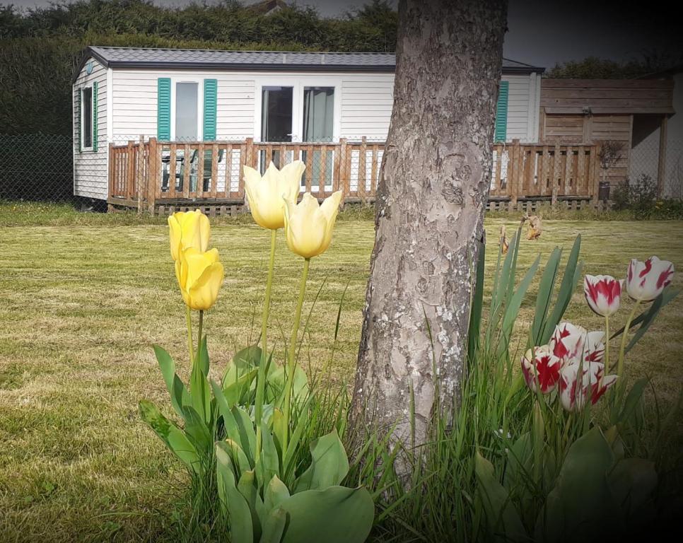 Chez Flo&Fred, Barbery