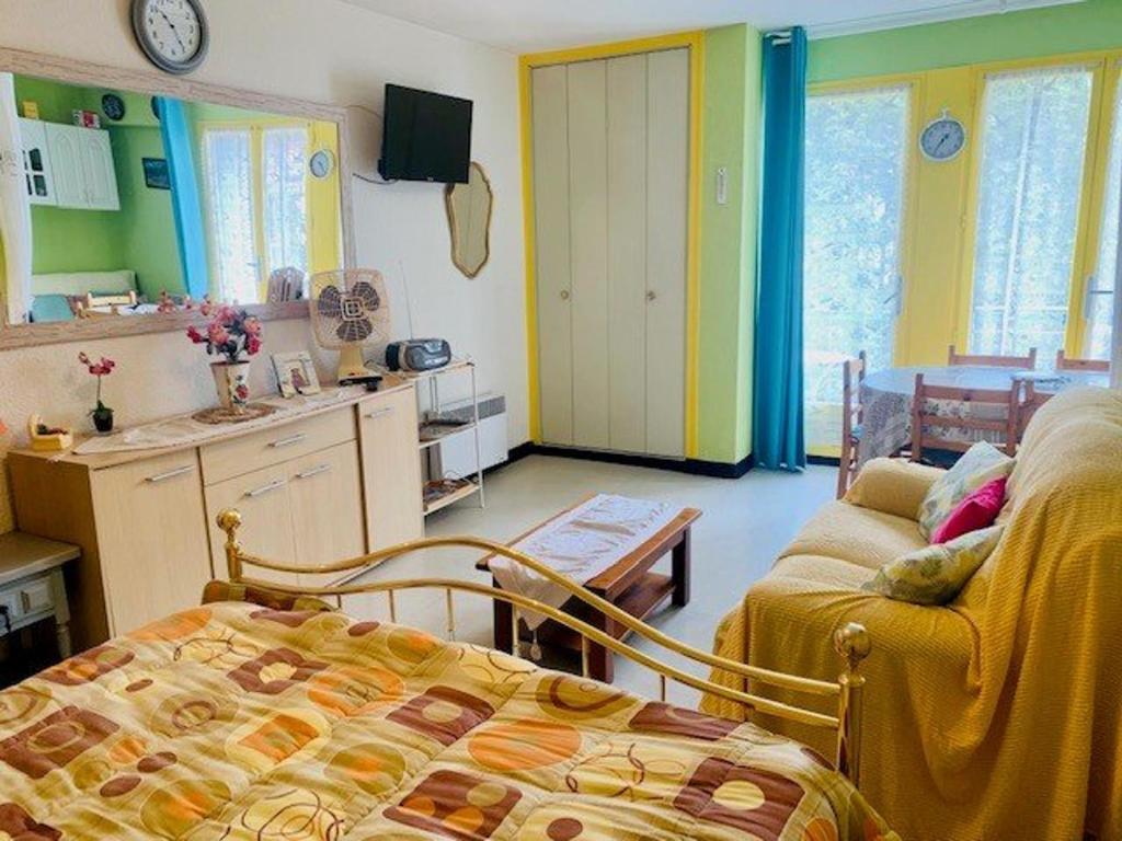 Studio Confortable - 3 Pers - Ascenseur - Parking - Wifi - Centre Ville Amélie-les-Bains - 4