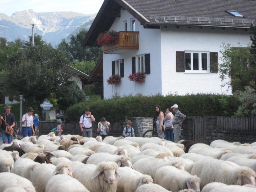 Ferienhaus Adelia - 5