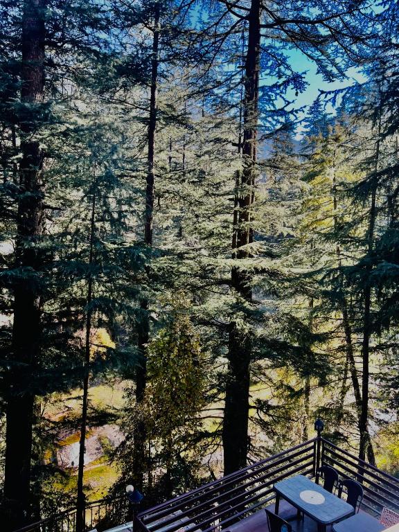 WildWoodHome Jibhi photo