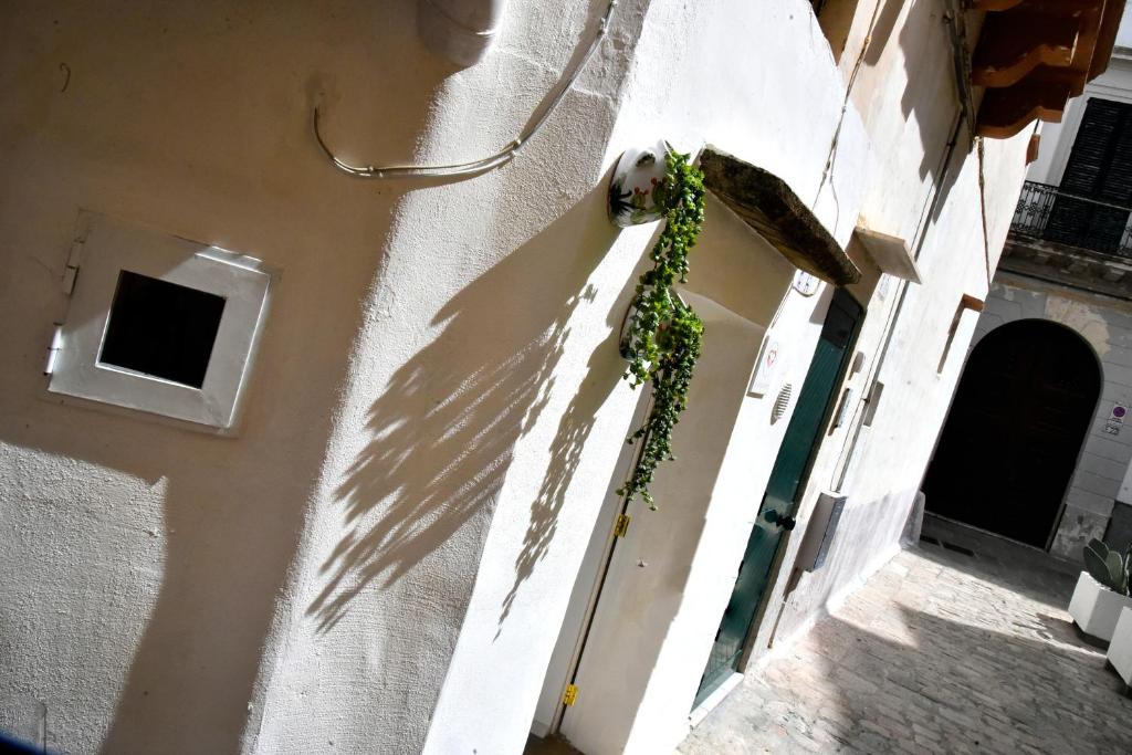 La Chicca di Ste - 3