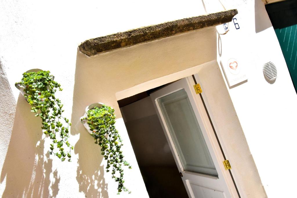 La Chicca di Ste - 5