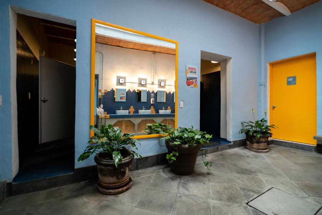 Viajero CDMX Centro Hostel photo