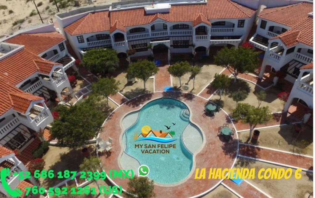 Pet-friendly San felipe holiday rental - 2