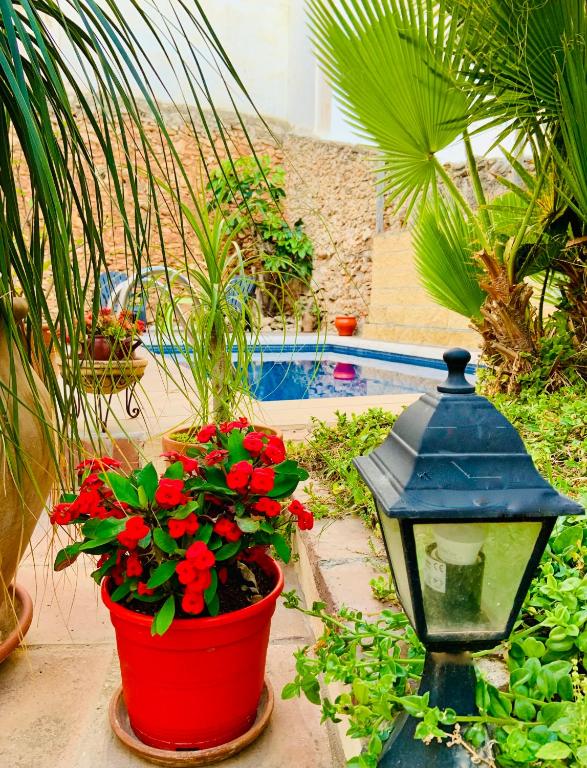 Boutique Hostal Lorca - 5