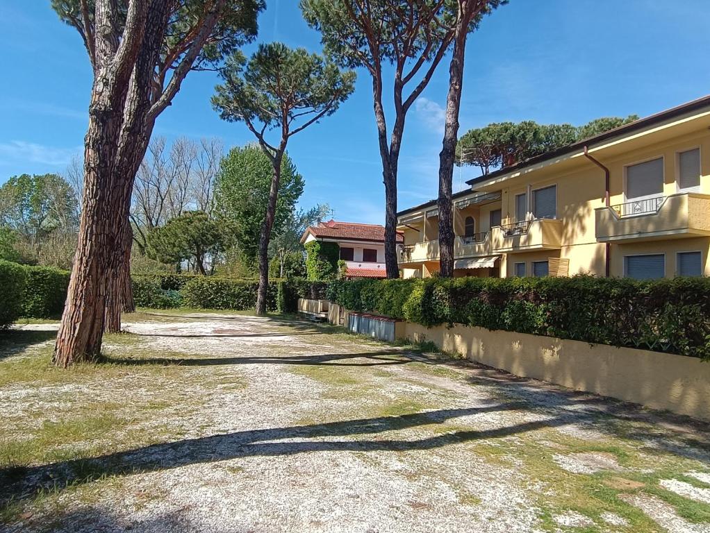 L'Orchidea_Holiday - 5