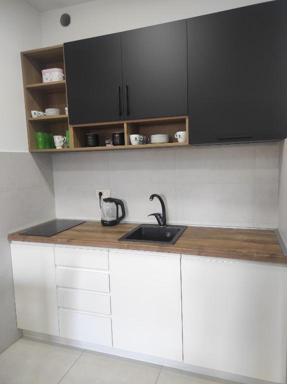 Cozy Studio K with Kitchen & WiFi in Heart of Podgorica - 5