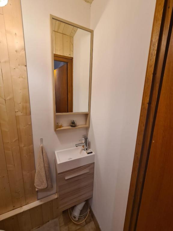 Luxury holidays apartment Praz sur Arly - 4
