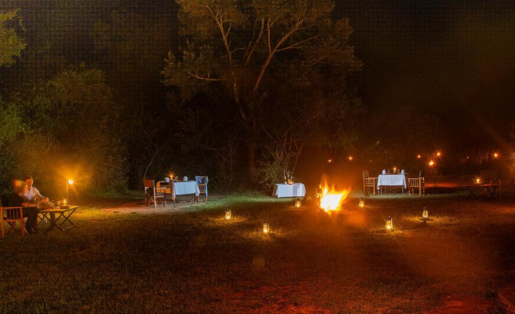 Big Game - Yala by Eco Team photo