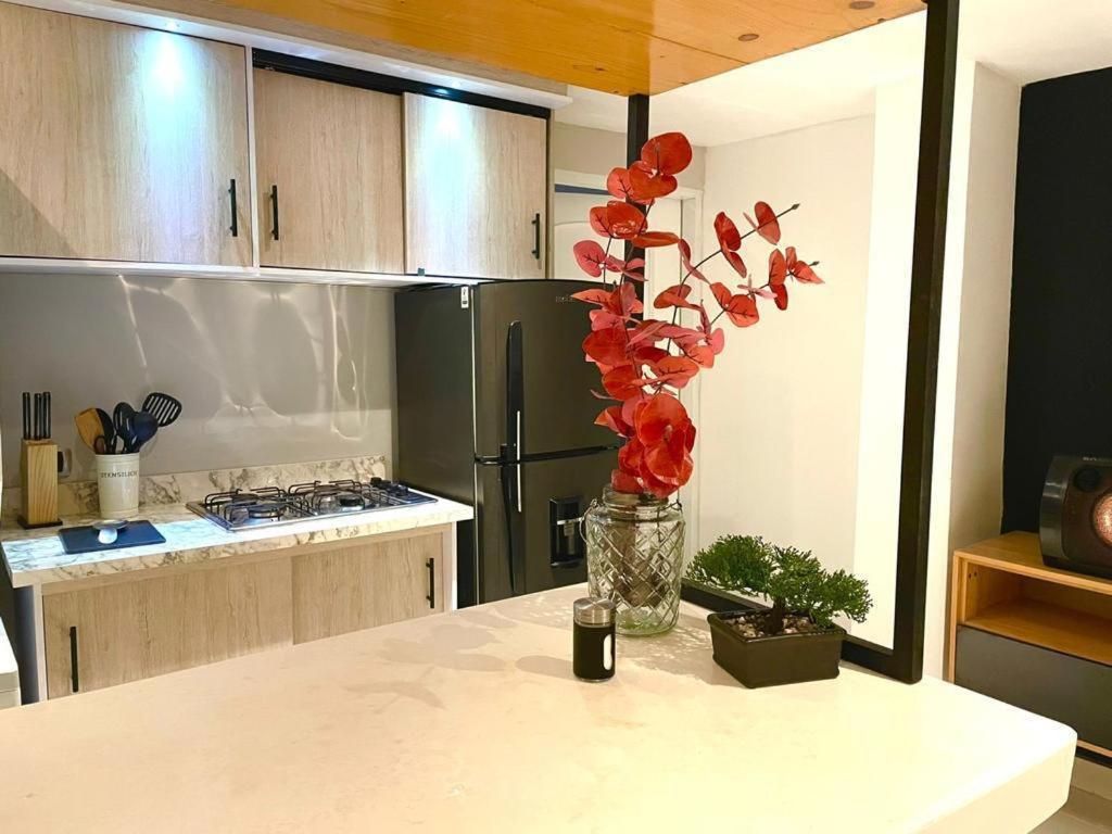 Aparta estudio Amoblados de lujo con servicios - 1