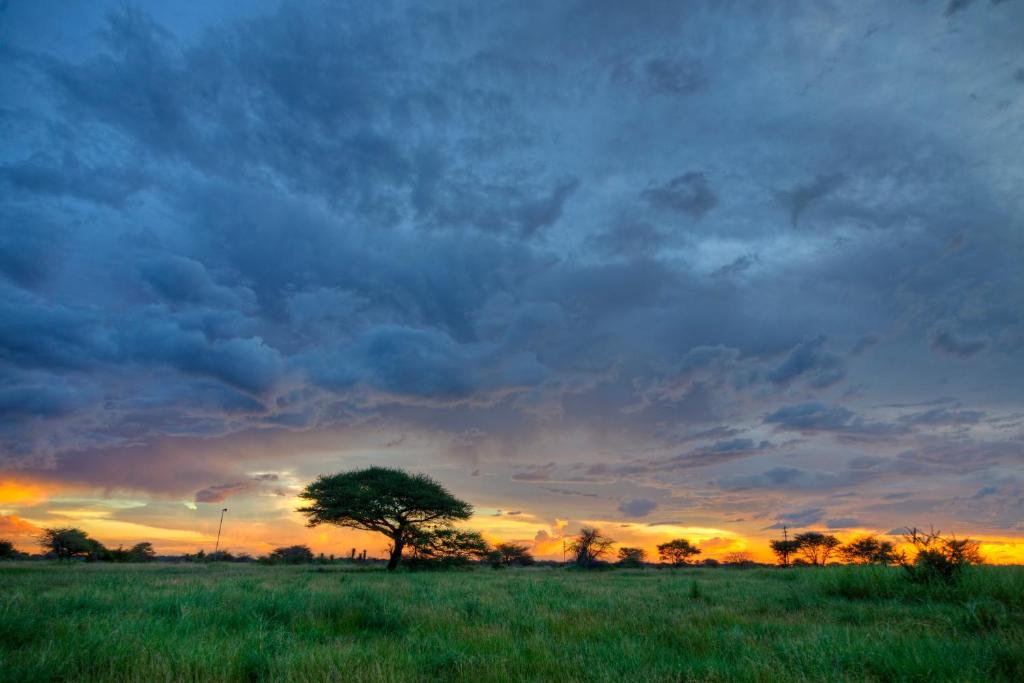 Khoi-Khoi Guesthouse, Otavi