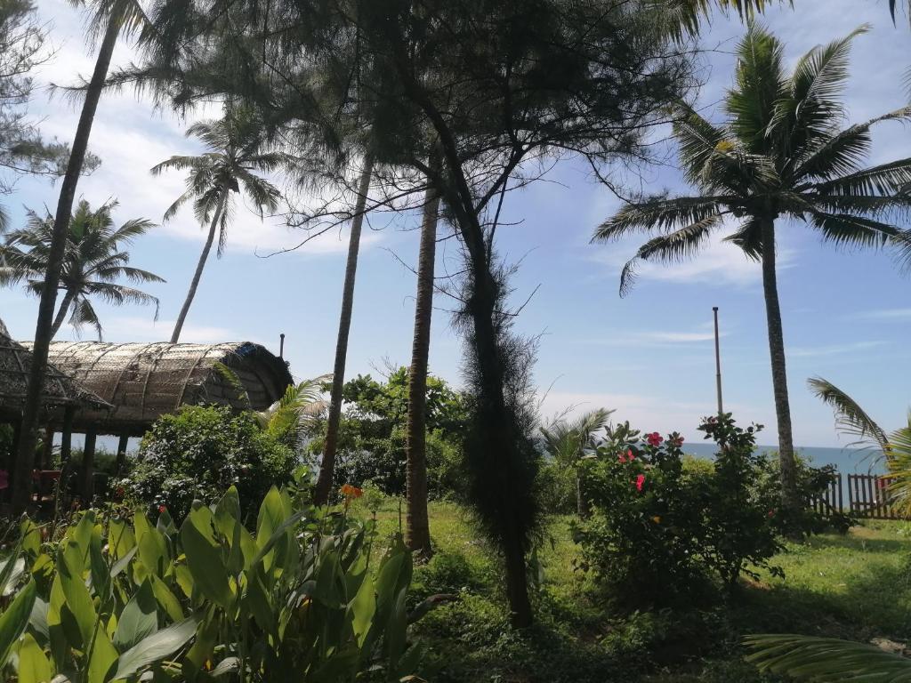 Sukriti beach Resort photo