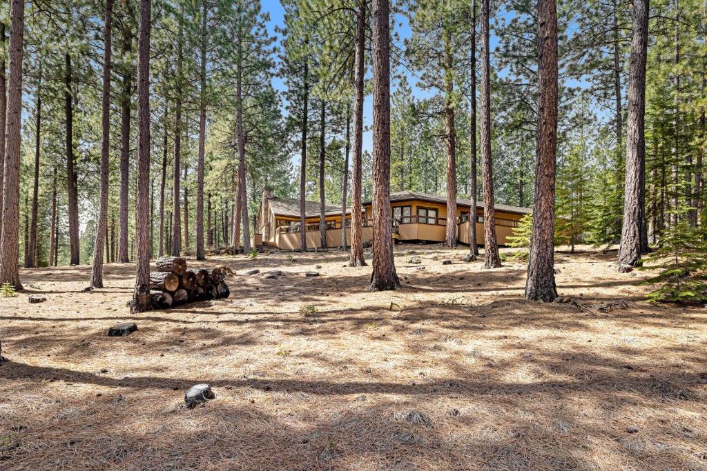 Tree-lined Paradise, Black Butte Ranch