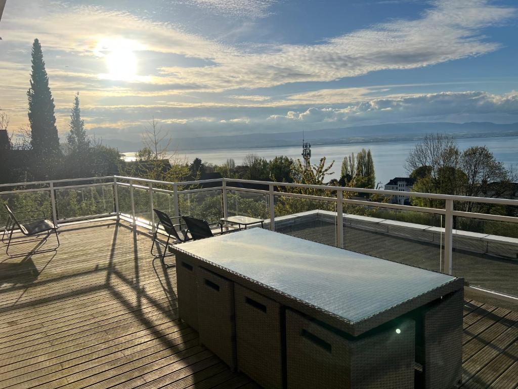 Léman Panoramique avec terrasse à deux pas du centre-ville - 4