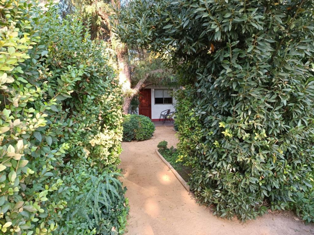 Casa Calfu photo