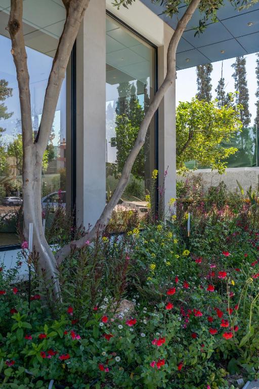 A szálláshely kívülről