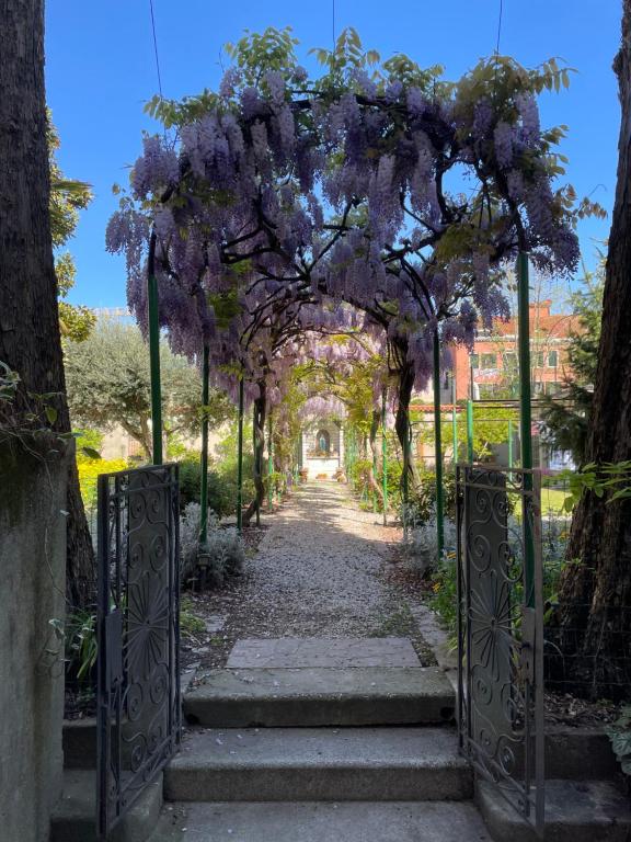 Casa Caburlotto - 4