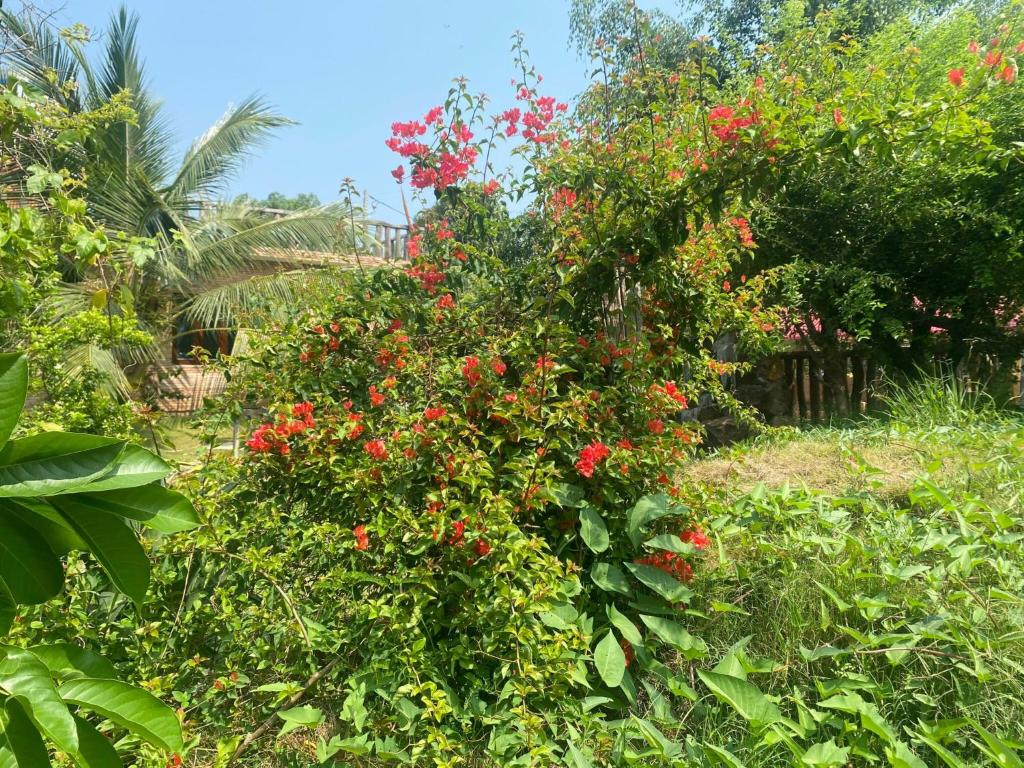 Surrounding environment