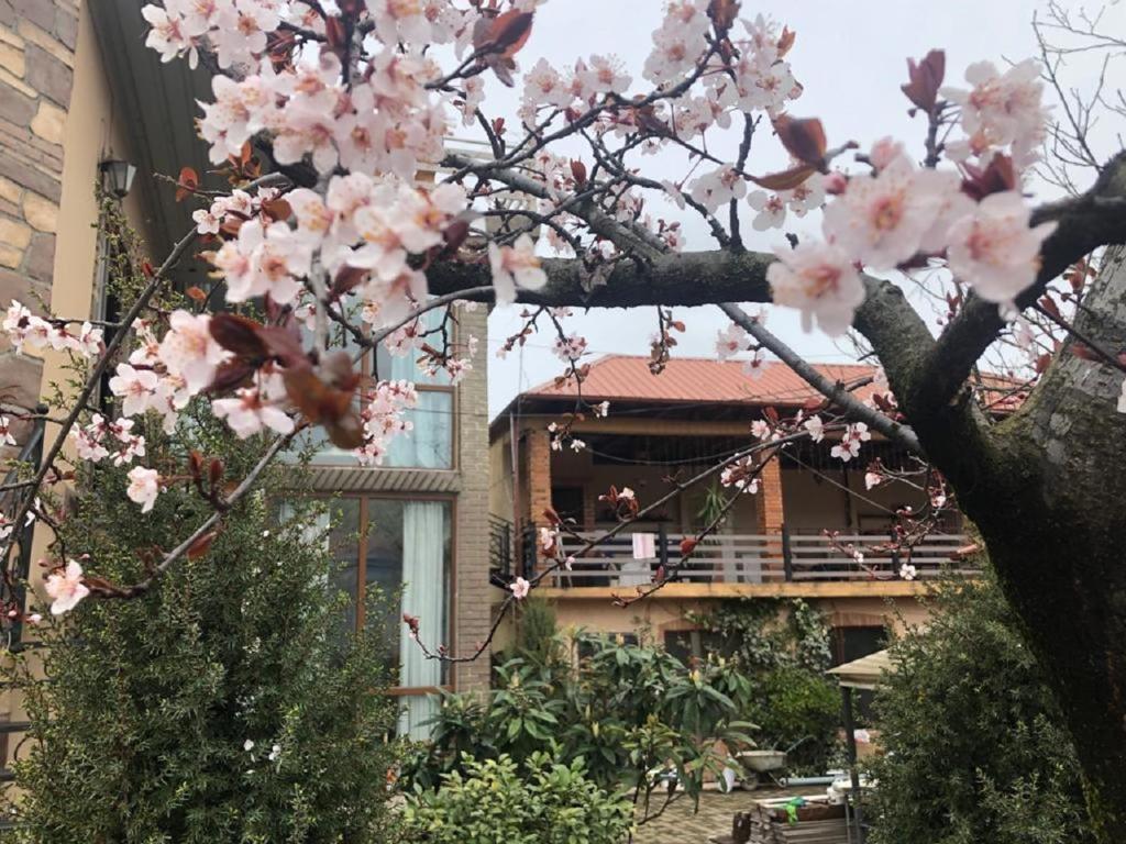 Batumi Wonderland Guest House photo