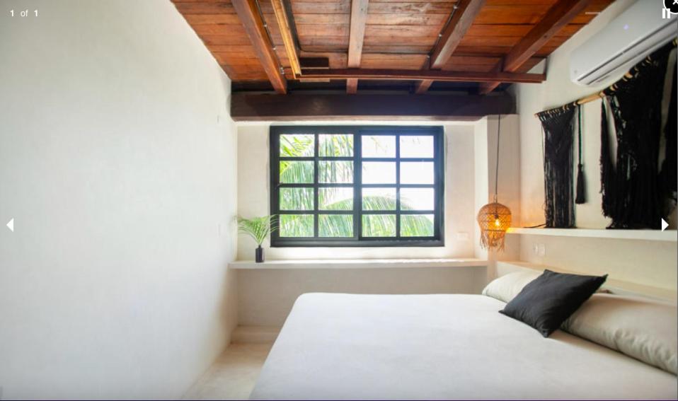 Mohave Jungle Rooms - 2