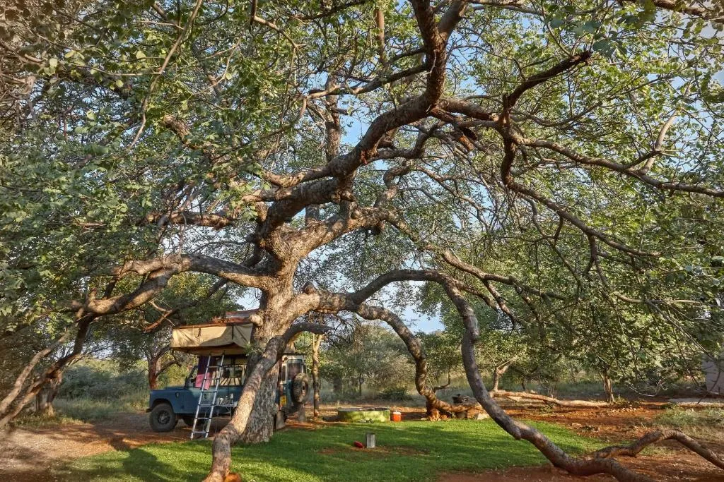 ZuriCamp - Campsite Halishi, hotel in Tsumeb
