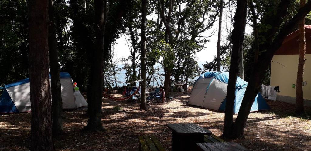 Къмпинг ЕНЕРДЖИ, Varna