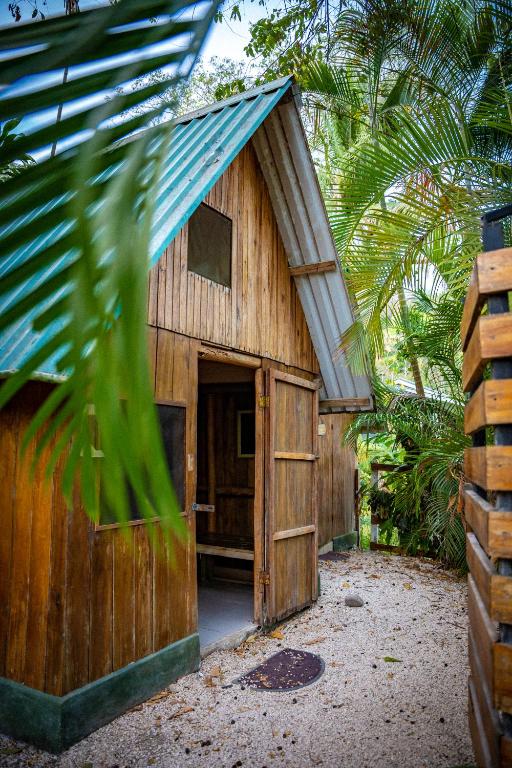 Pura Vida Mini Hostel Santa Teresa