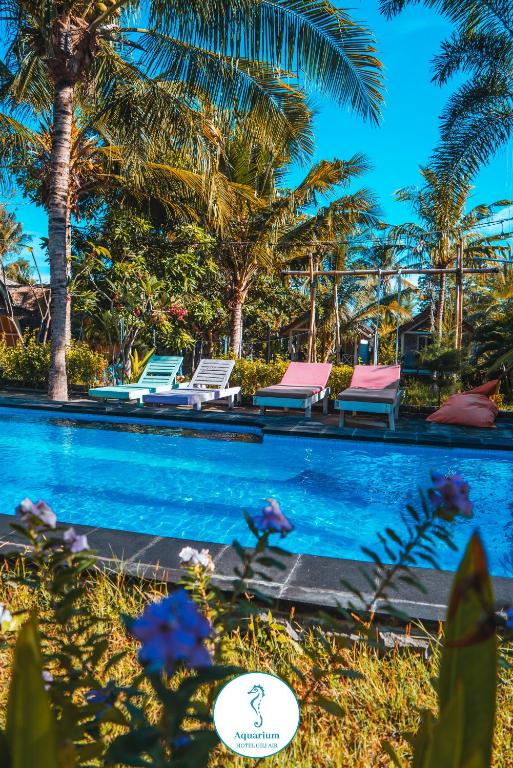 AQUARIUM MARGO Gili Air