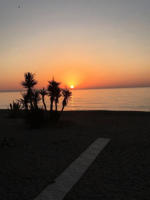 BUNGALOW PIE DE PLAYA B30 - 5