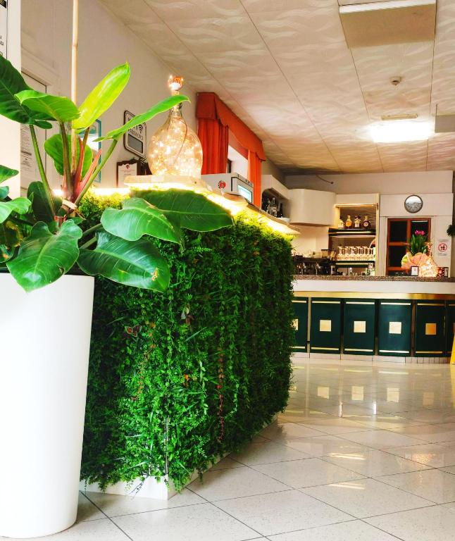 Hotel Zenith - 3