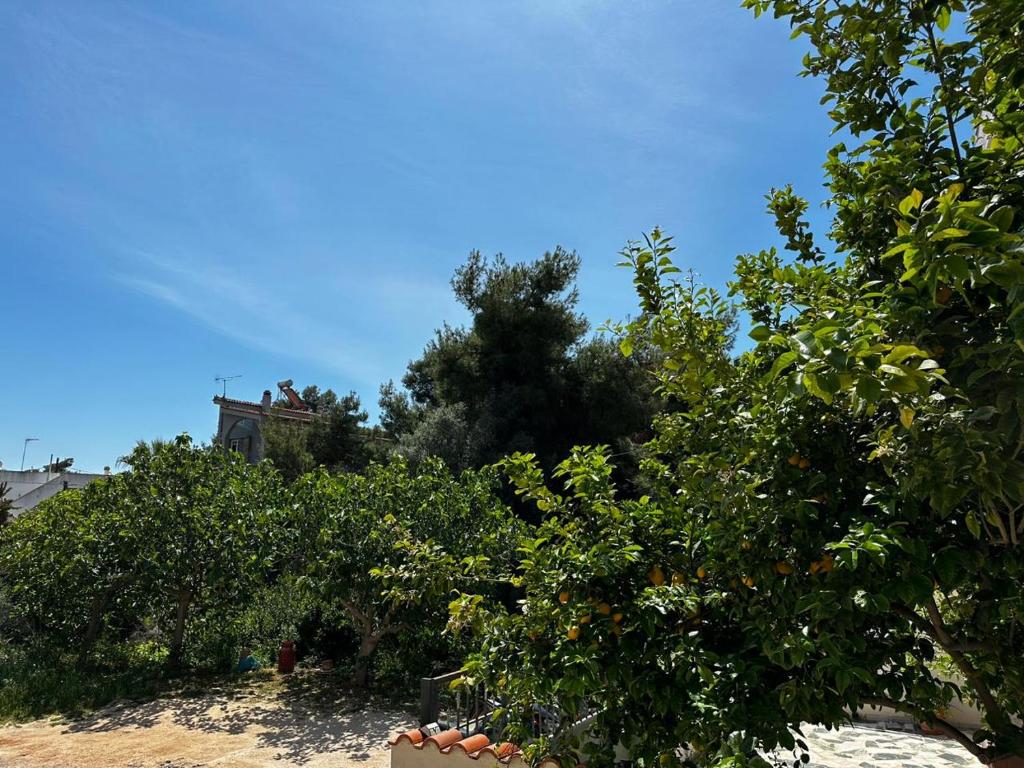 La Vita apartments 10 min from the airport,near the sea! photo