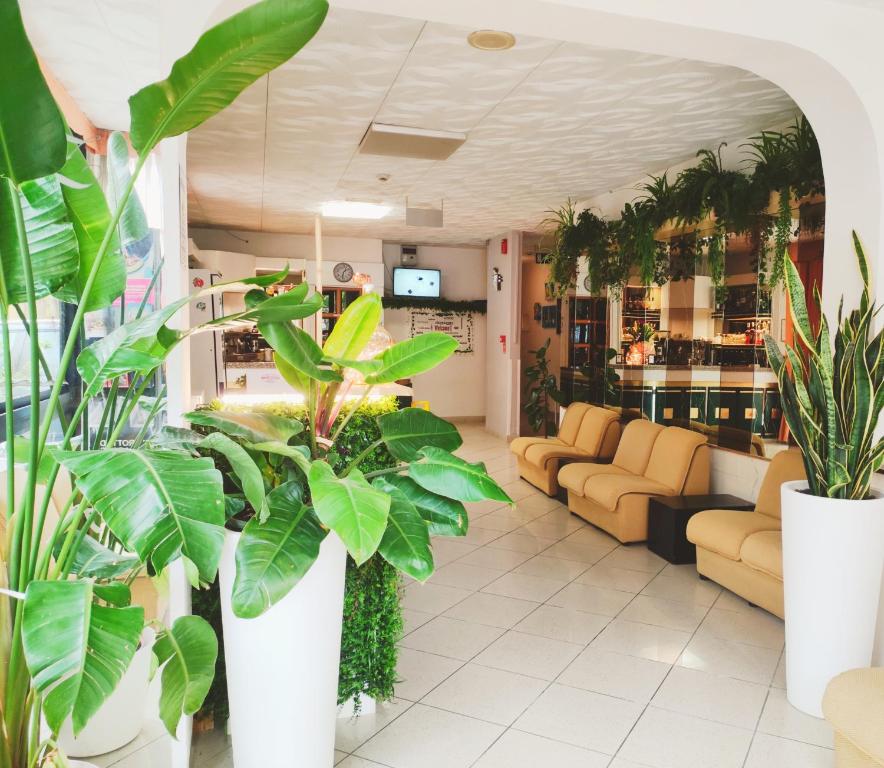 Hotel Zenith - 2