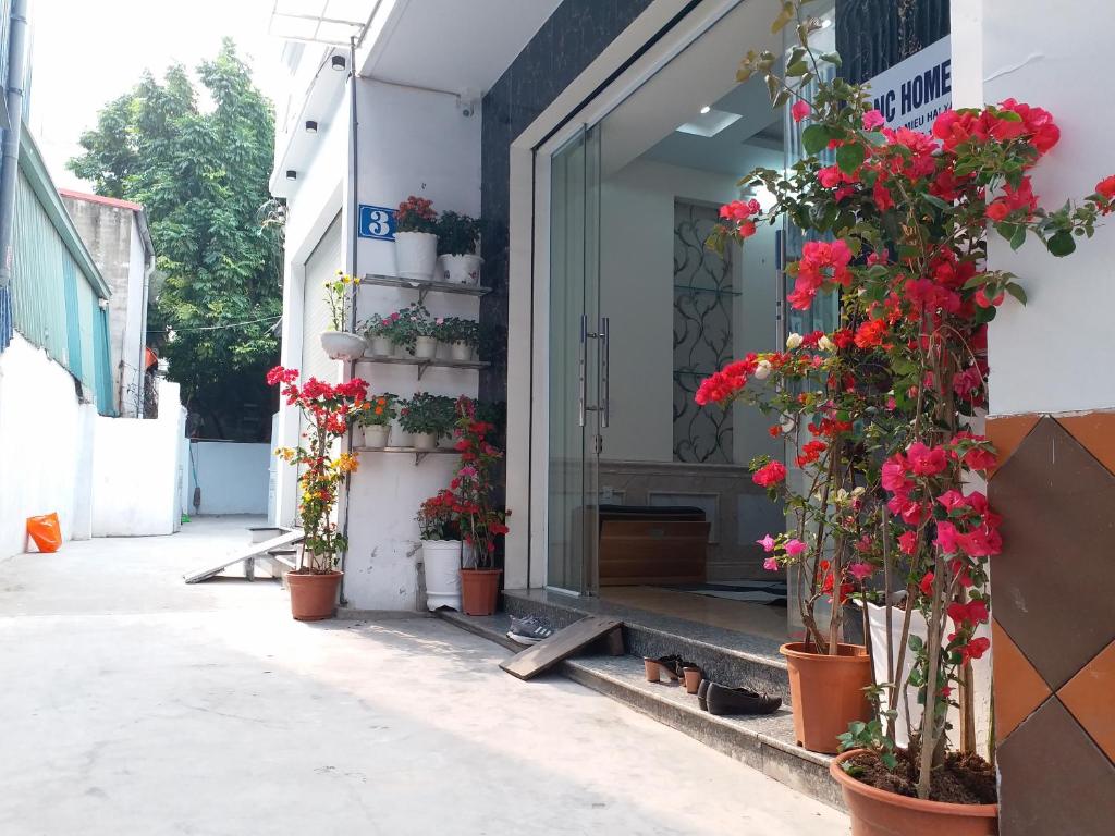 BBNC Homestay — Hotel in Haiphong