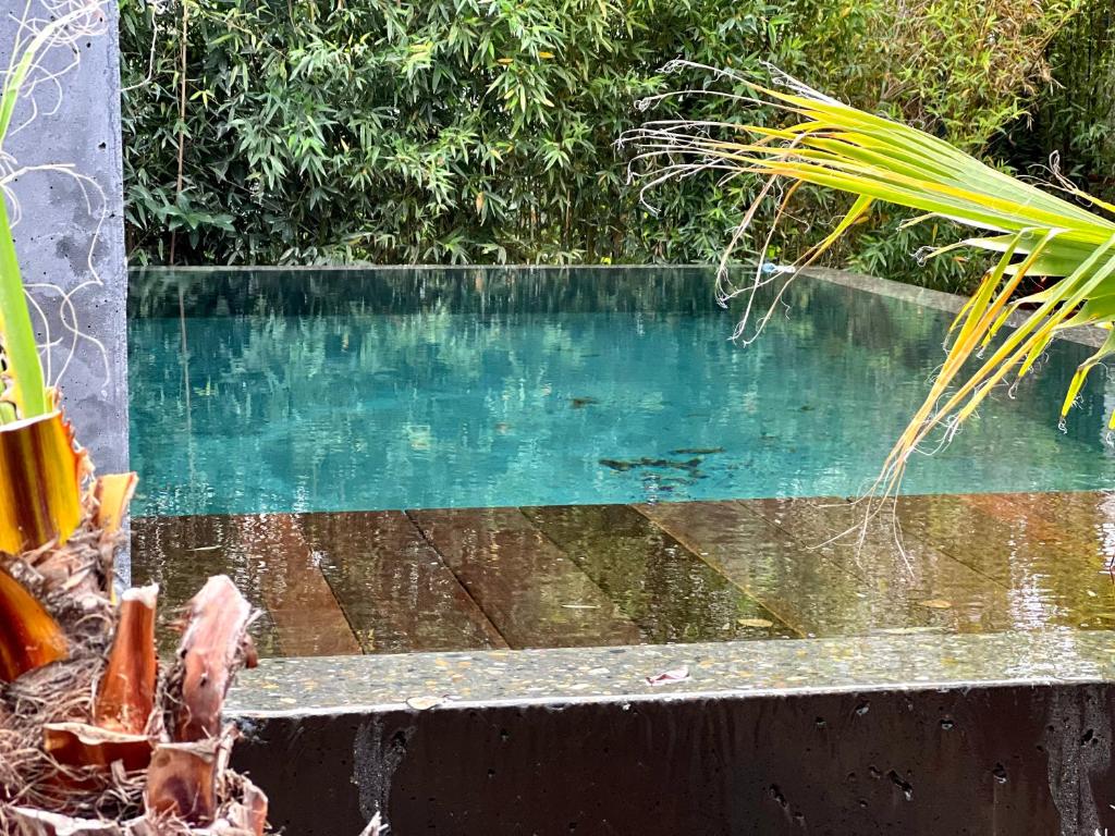 La Villa Canopée - Piscine chauffée-Fibre-Clim-Jacuzzi - 4