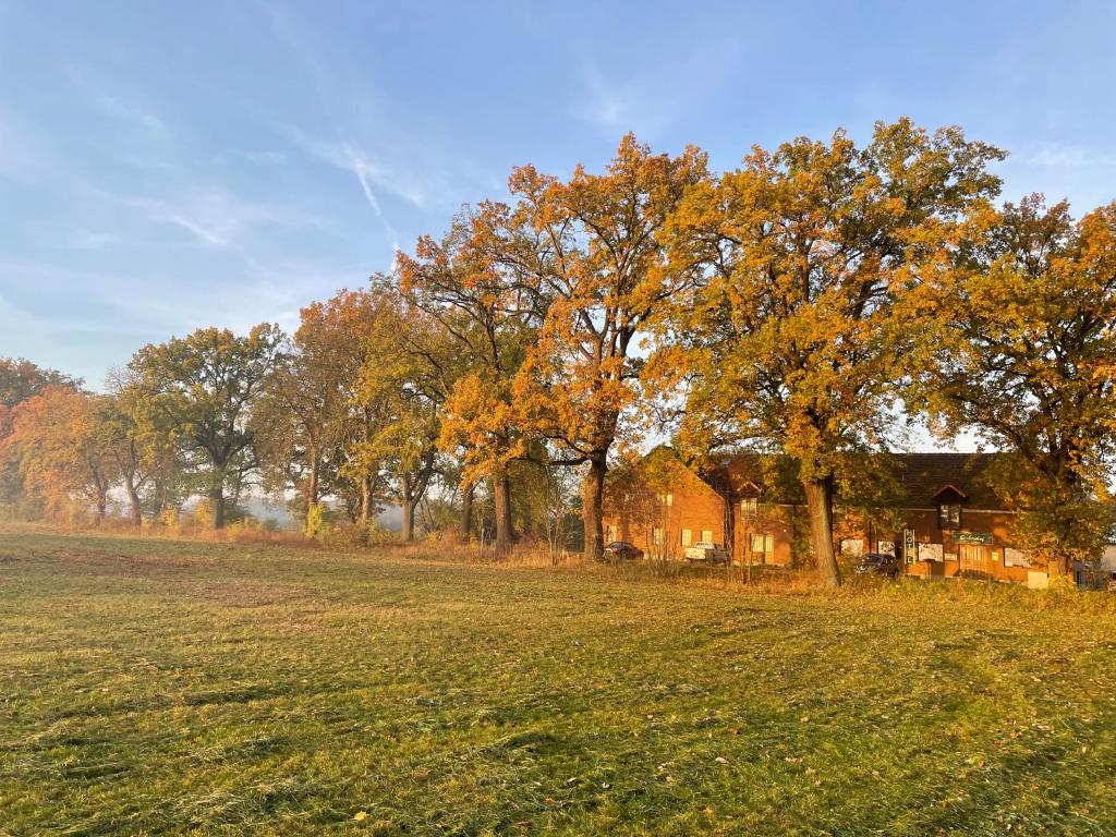 Eichenhof Hotel Garni — Hotel in Gross Koris