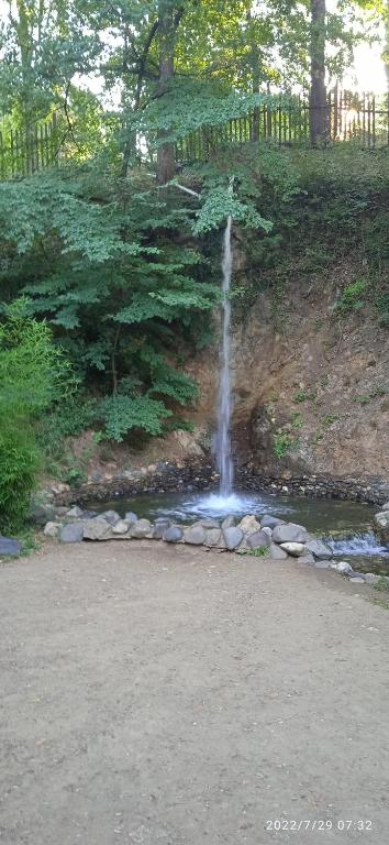Nidza Vranjanac photo