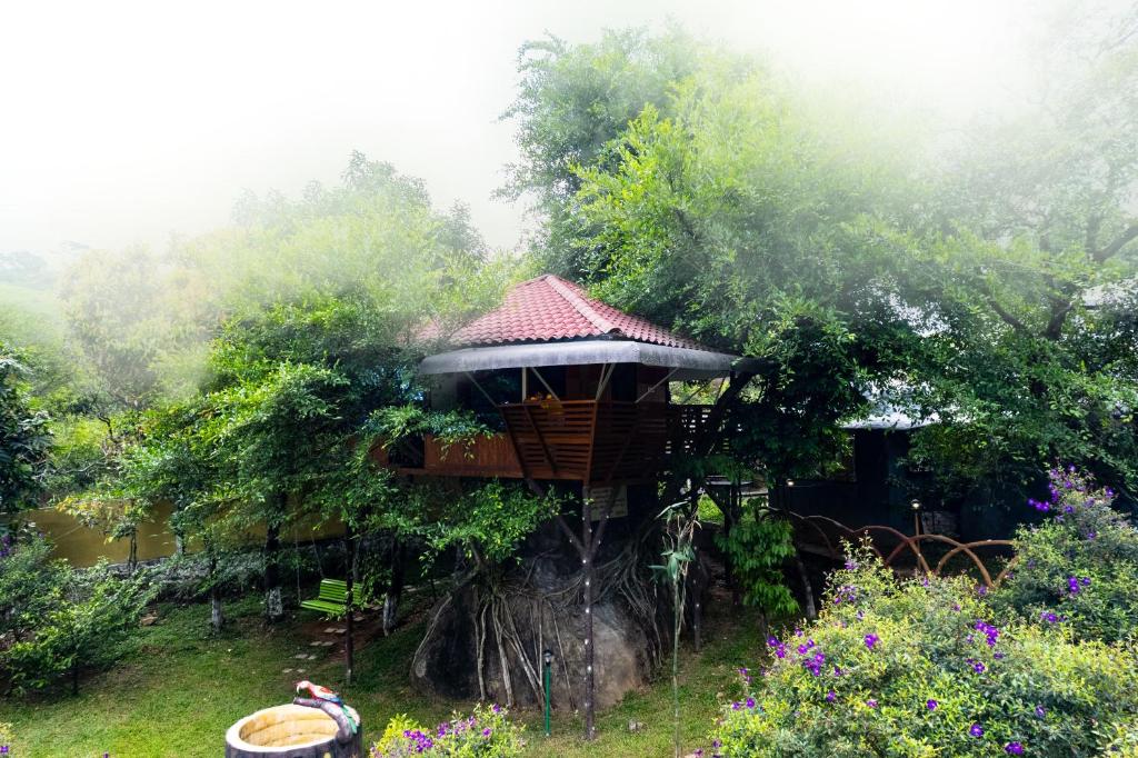 Treehouse Tabor Hills Resort Vagamon — Hotel in Vagamon