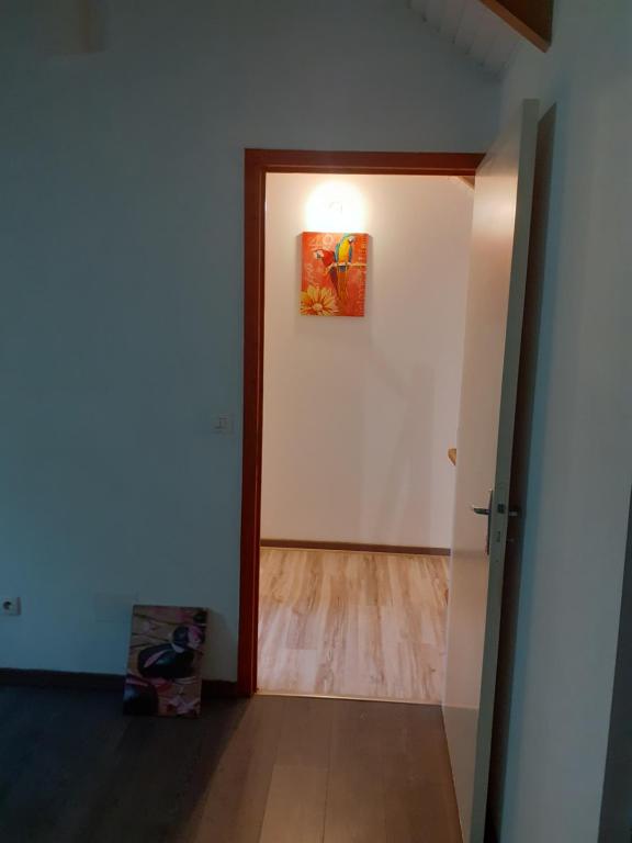 DUPLEX HIBISCUS, Les Abymes