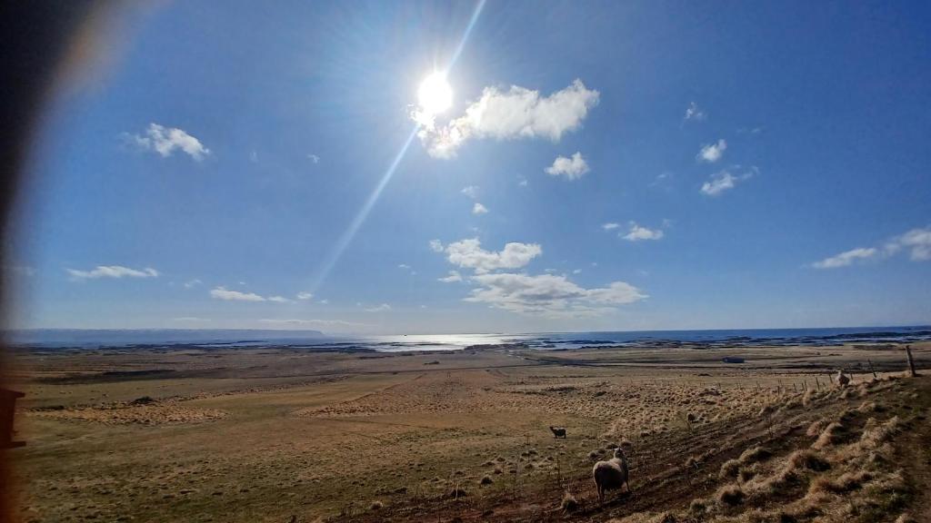 Miðjanes Reykholahrepp photo