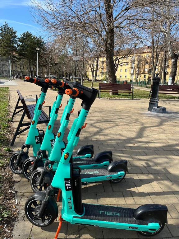 Sports and activities