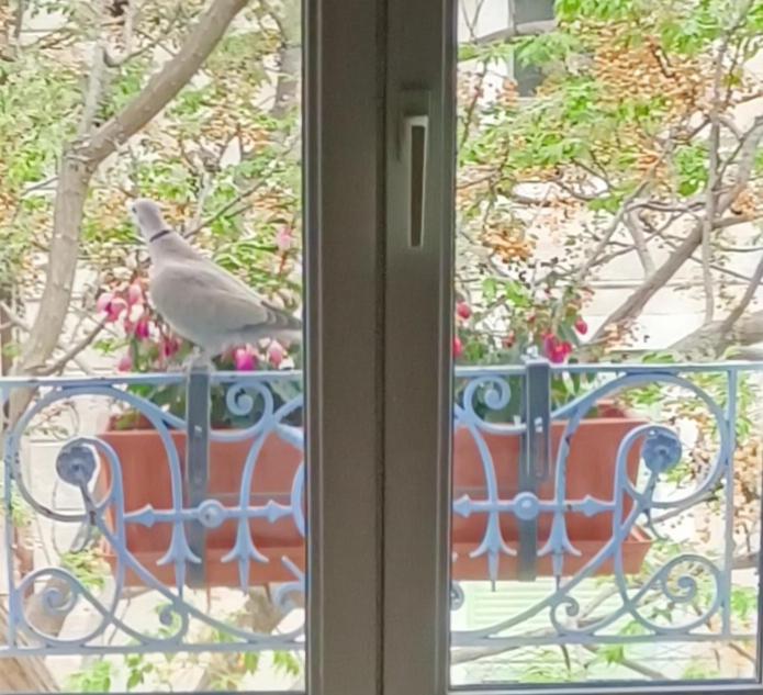 A deux pas d'Avignon