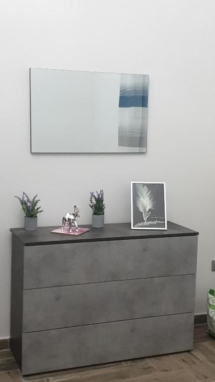 Due passi dal mare, Livorno