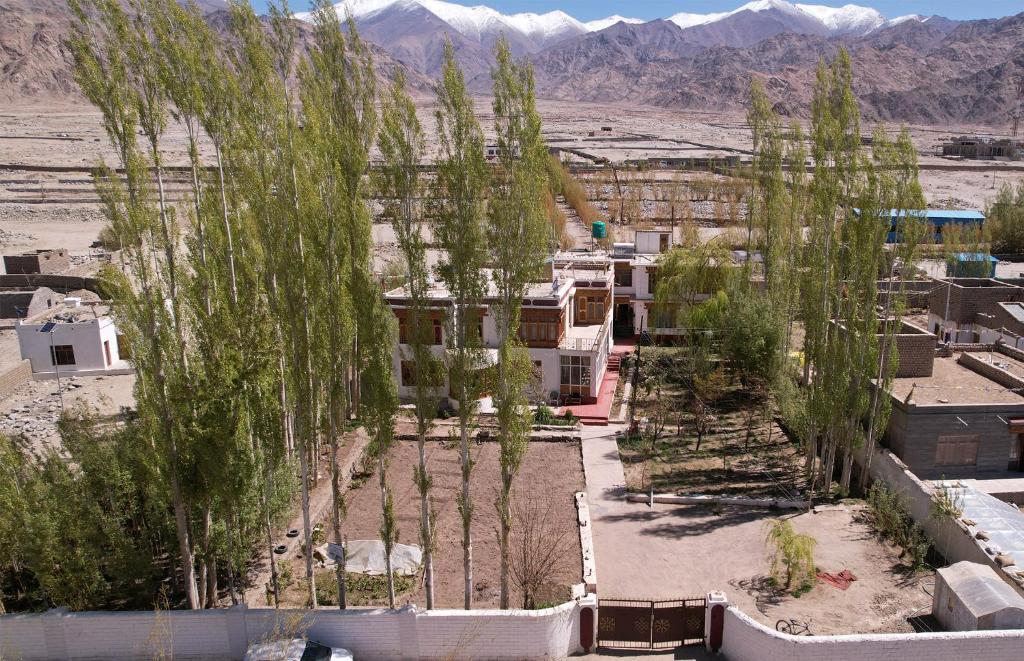 Dokpa Guest House Shey Leh-Ladakh photo