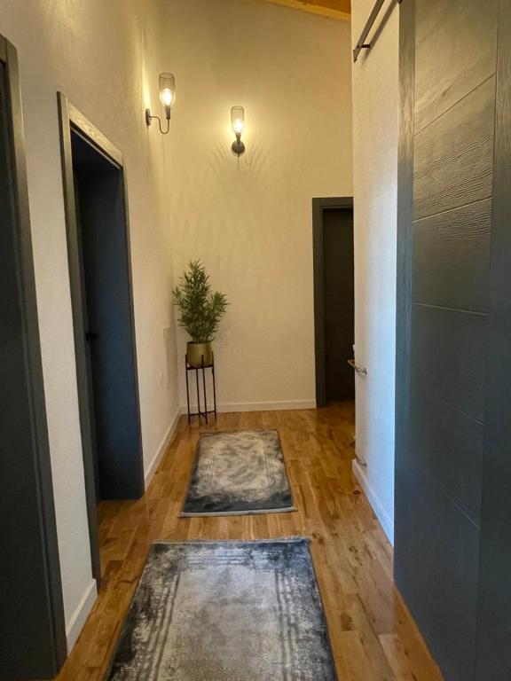 Casa Alea - 4