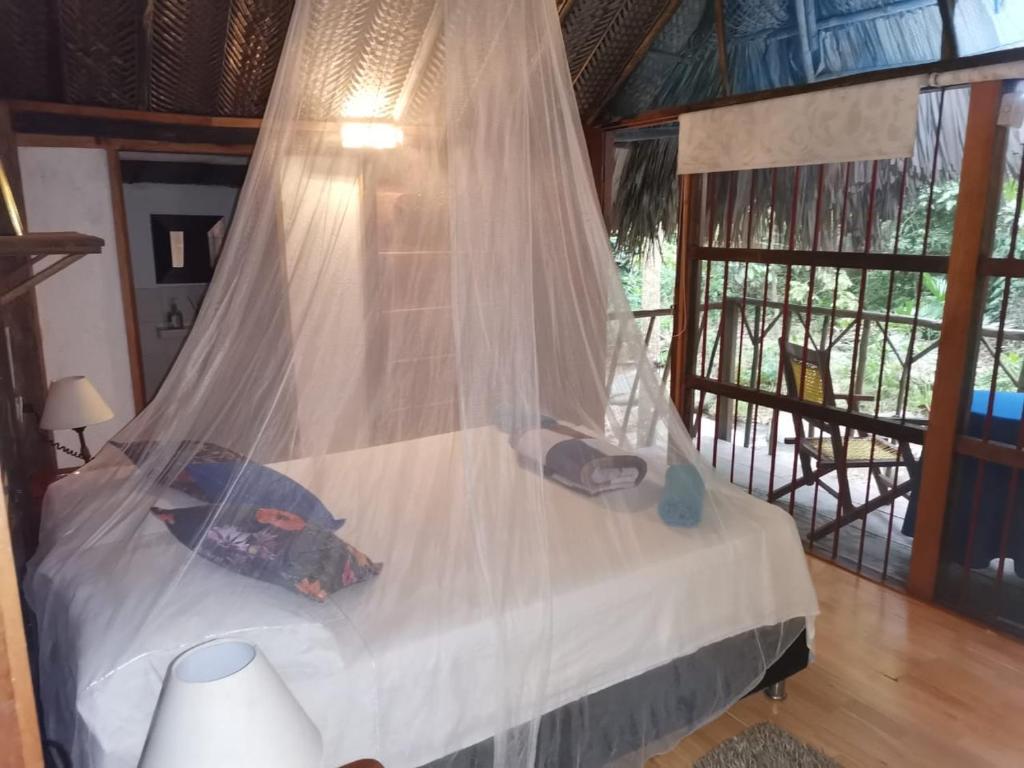 Entre Bosques Tayrona - 5