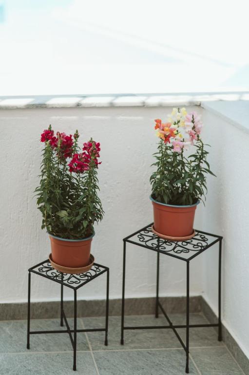 Villa Limnes photo