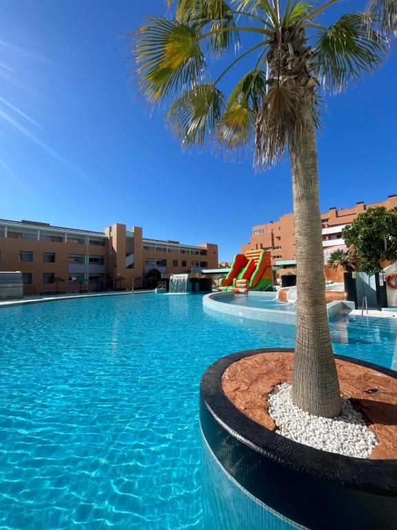Hotel Neptuno by ON Hotels Group — Swimming pool in Roquetas de Mar, Andalusia