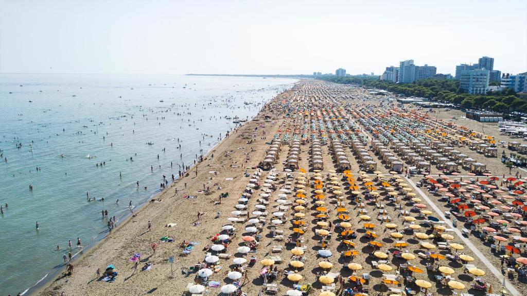 DAL MORO photo