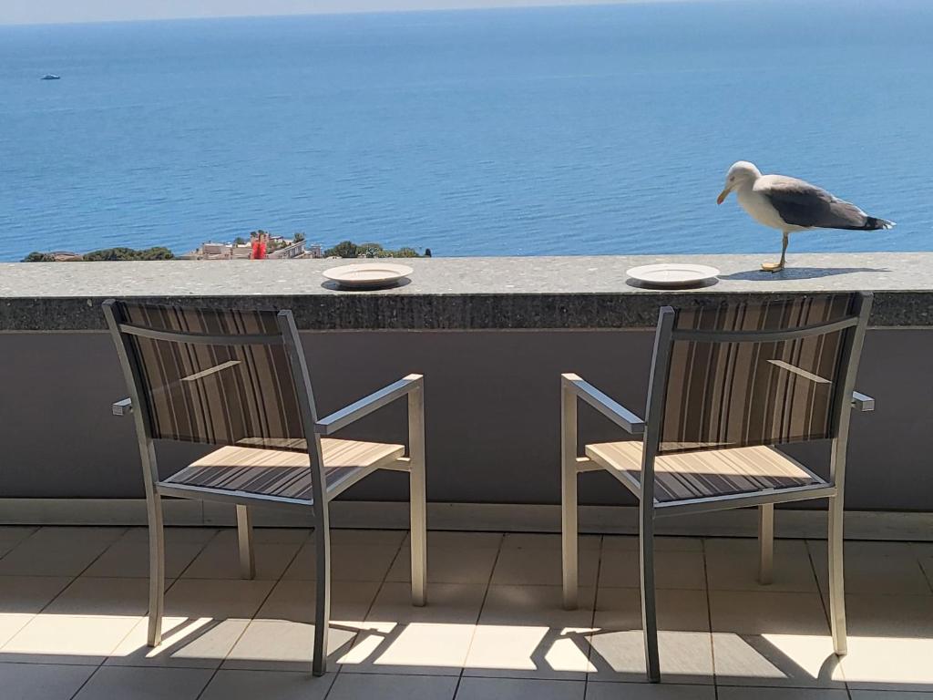 Cap Monaco - 3